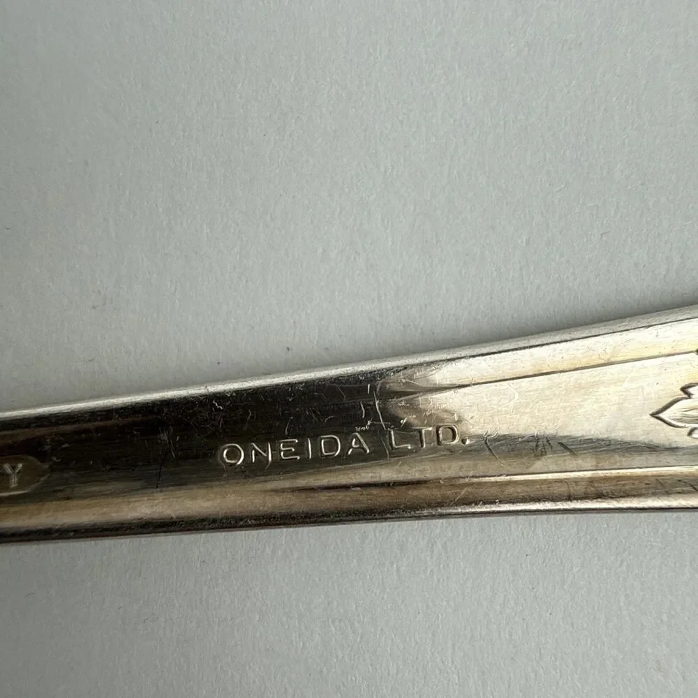 Oneida lot wm